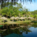 Amazon Eco-park